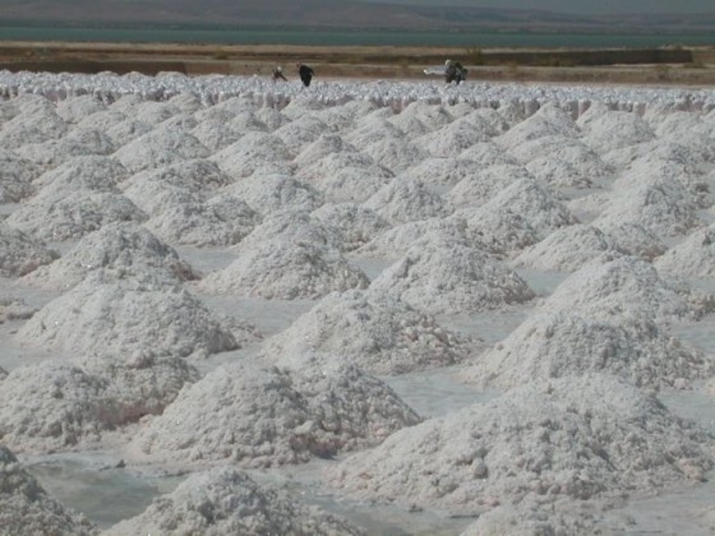 Těžba palmyrské soli má v syrské ekonomice významné místo