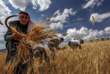 Sýrie: aktuální aktivity ministerstva zemědělství (1. část)